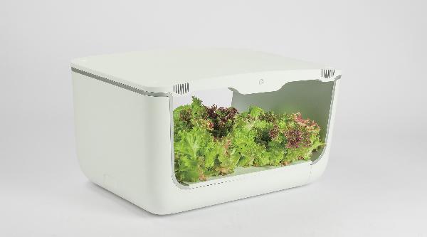 VegeBOX Home Vegebox planting machine with EU plug, white